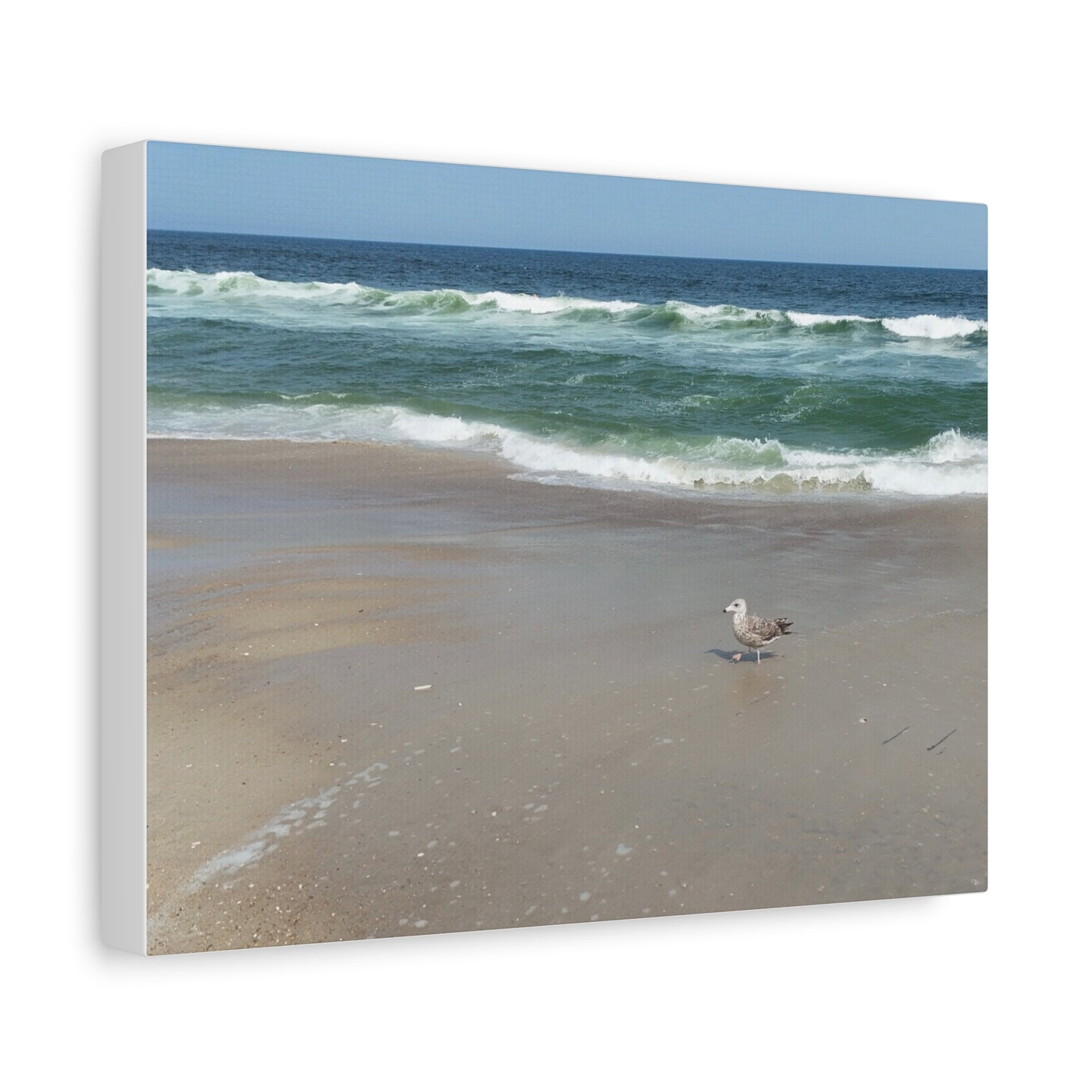 Coastal Serenity Canvas Art - Beach Scene with Seagull