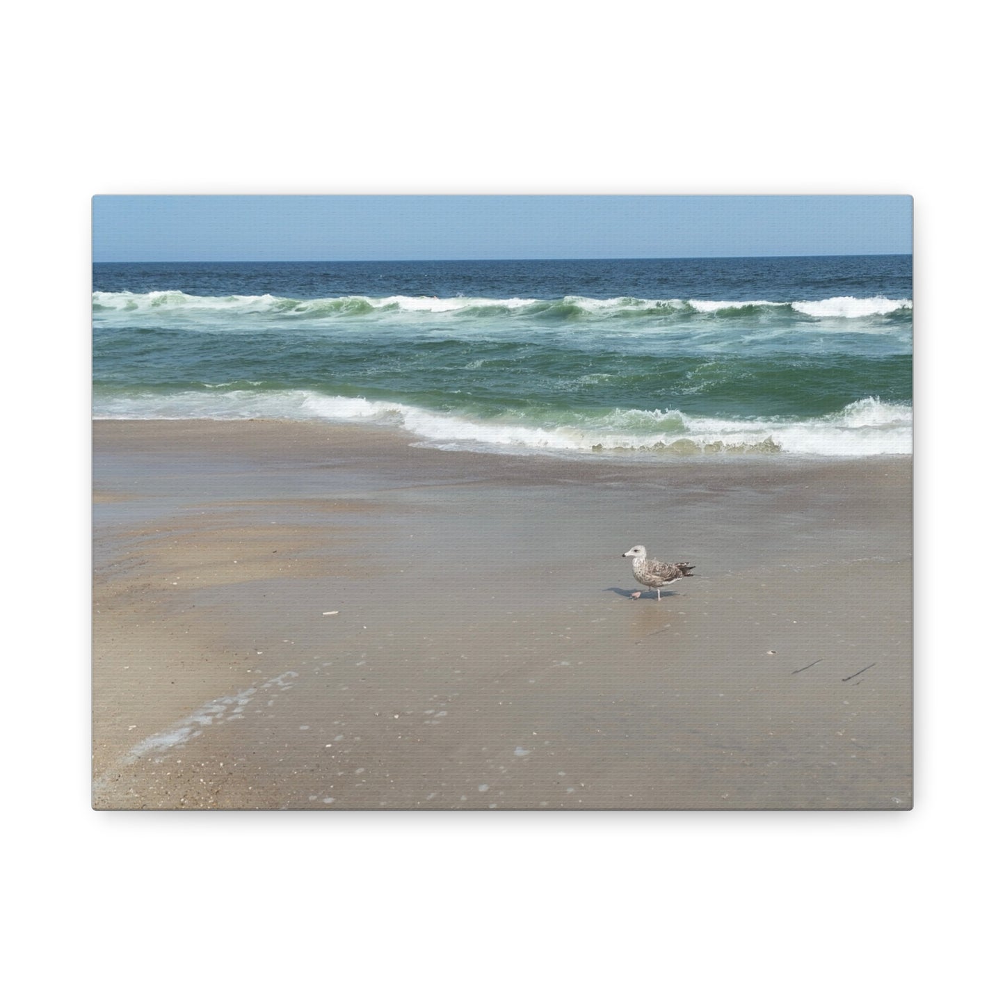 Coastal Serenity Canvas Art - Beach Scene with Seagull